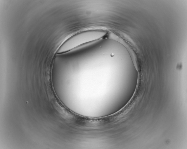 X0000090451177200708102042