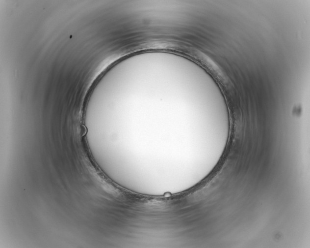 X0000090451178200708102042