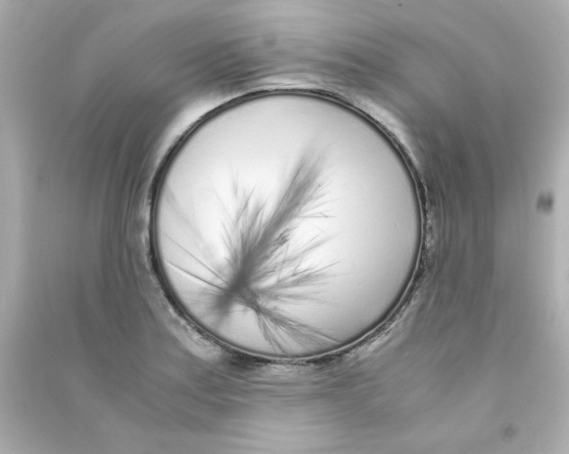 X0000090451179200708102042