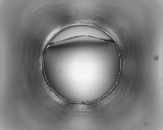 X0000090451180200708102042