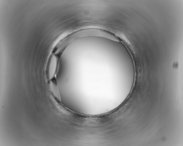 X0000090451181200708102042