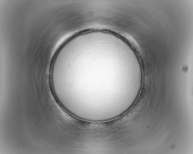 X0000090451183200708102042