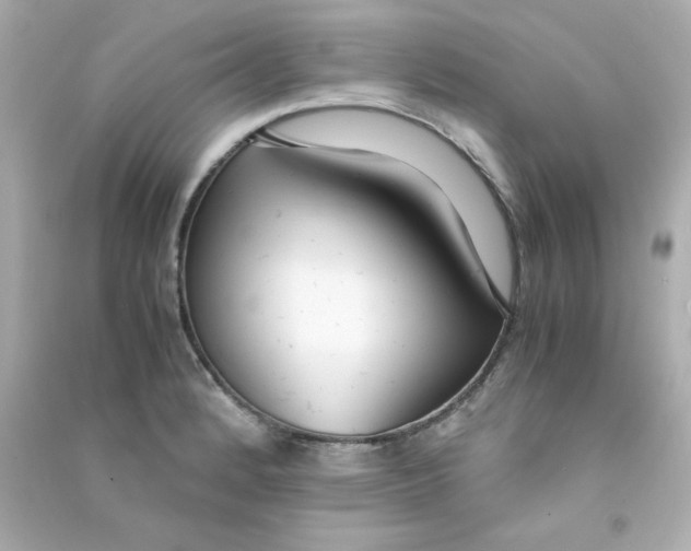 X0000090451184200708102042