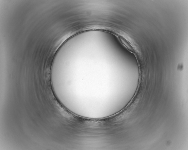 X0000090451185200708102042