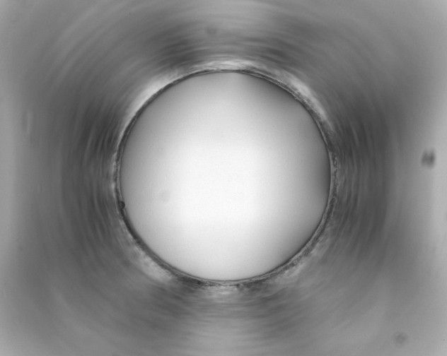 X0000090451186200708102042