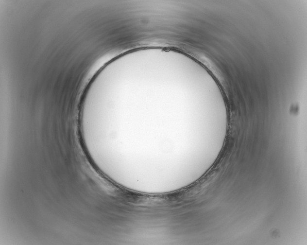 X0000090451187200708102042