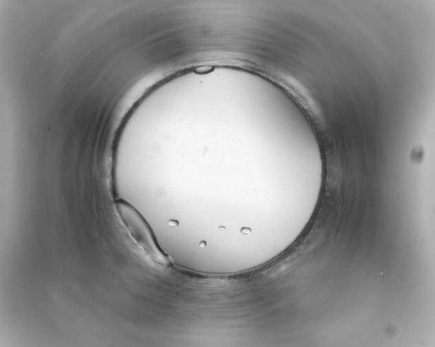 X0000090451188200708102042