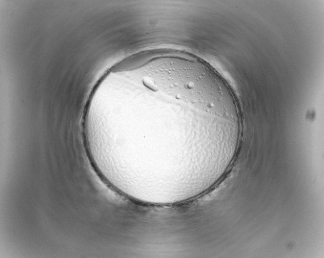 X0000090451189200708102042