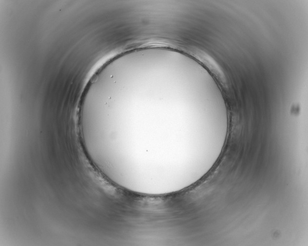 X0000090451190200708102042