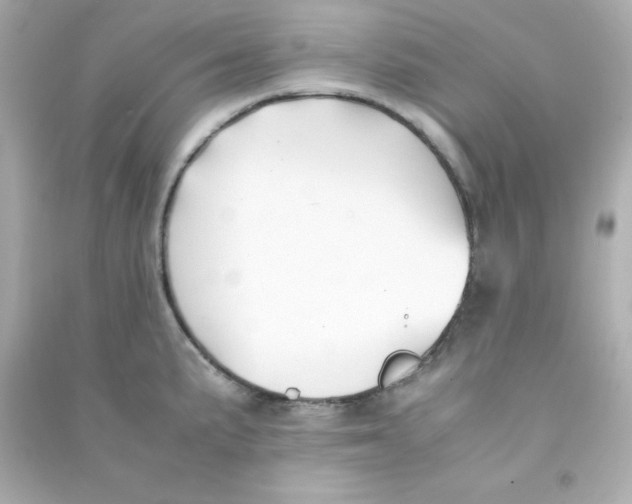 X0000090451191200708102042