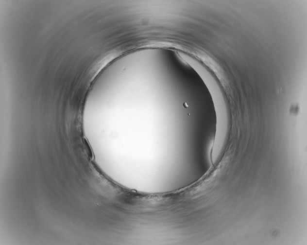 X0000090451193200708102042