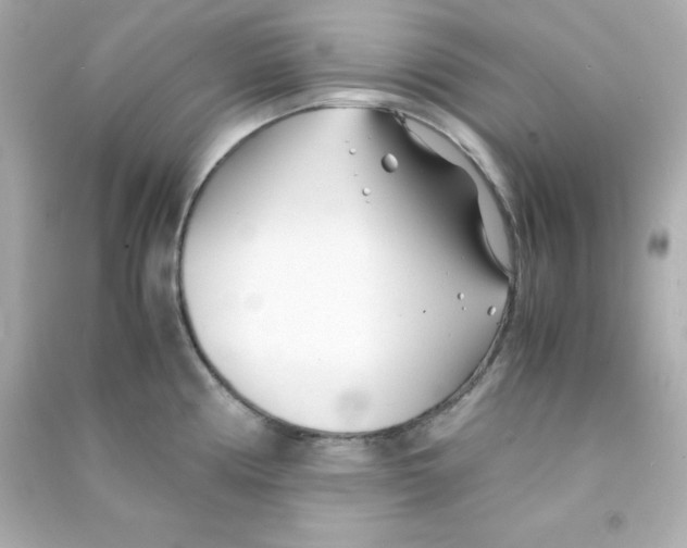 X0000090451194200708102042