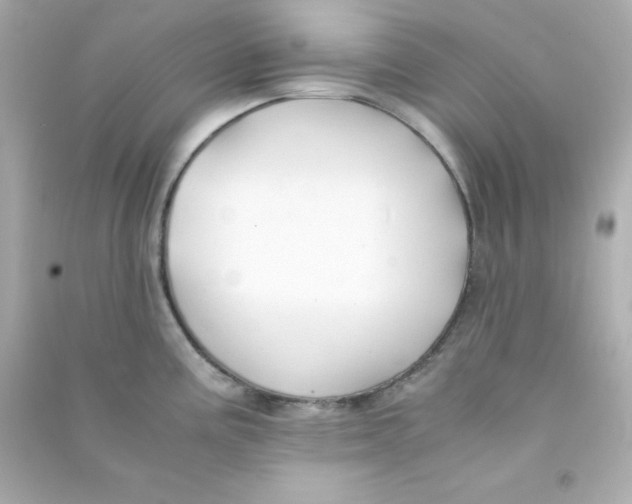 X0000090451195200708102042