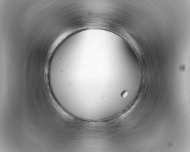 X0000090451196200708102042