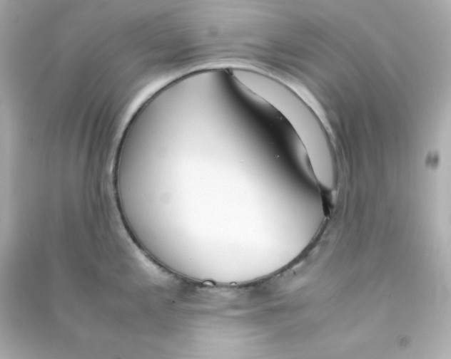 X0000090451197200708102042