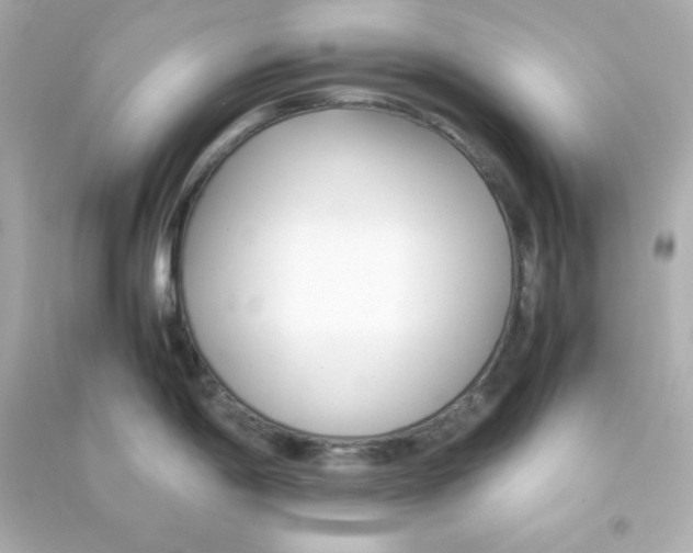 X0000090451198200708102042