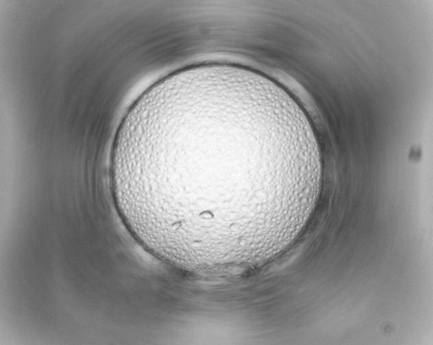 X0000090451199200708102042