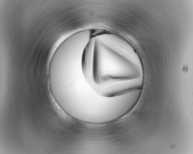 X0000090451200200708102042