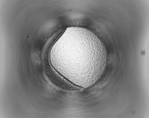 X0000090451202200708102041