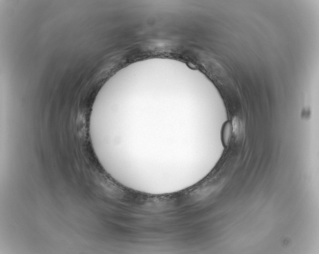 X0000090451203200708102041