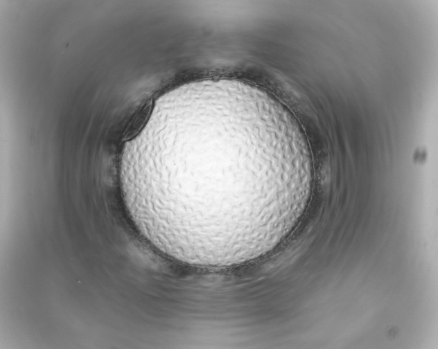 X0000090451204200708102041