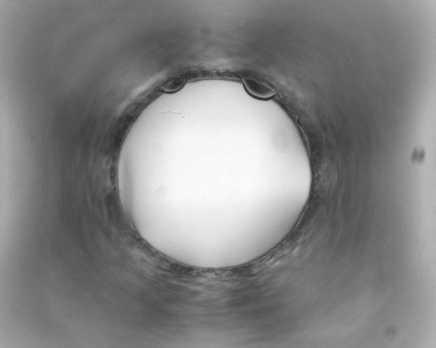 X0000090451205200708102041