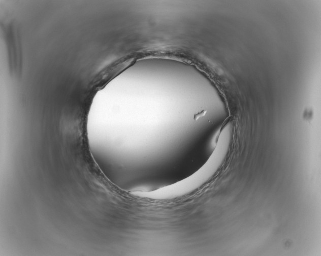 X0000090451206200708102041