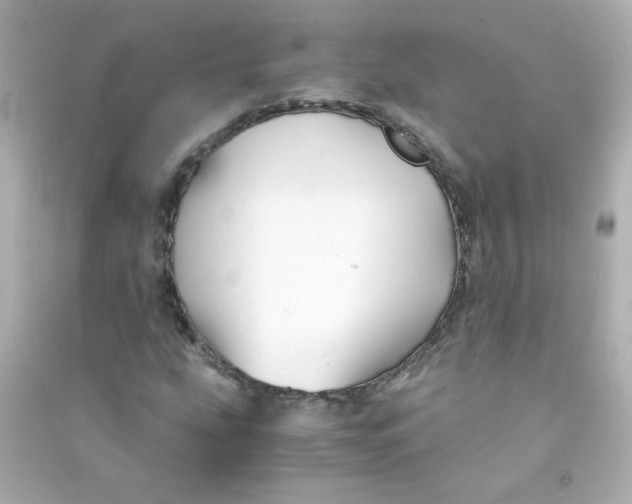 X0000090451207200708102041