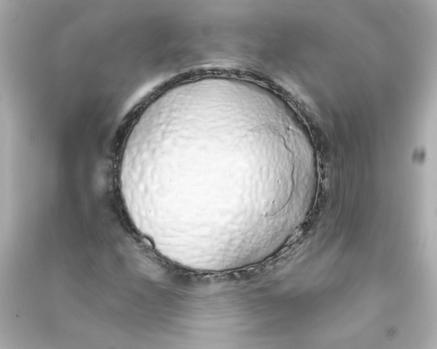 X0000090451208200708102041