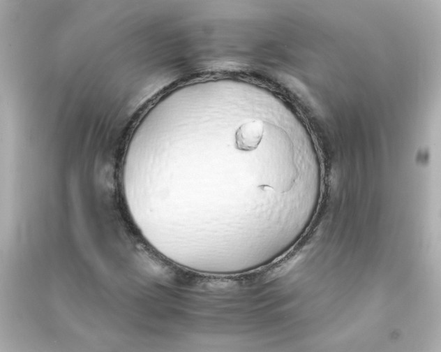 X0000090451209200708102041