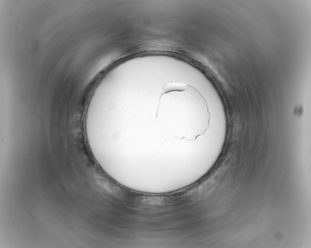 X0000090451211200708102041