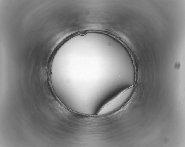 X0000090451212200708102041