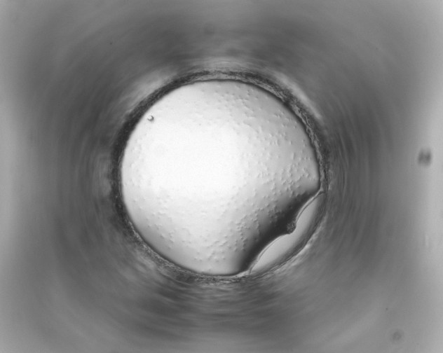 X0000090451213200708102041