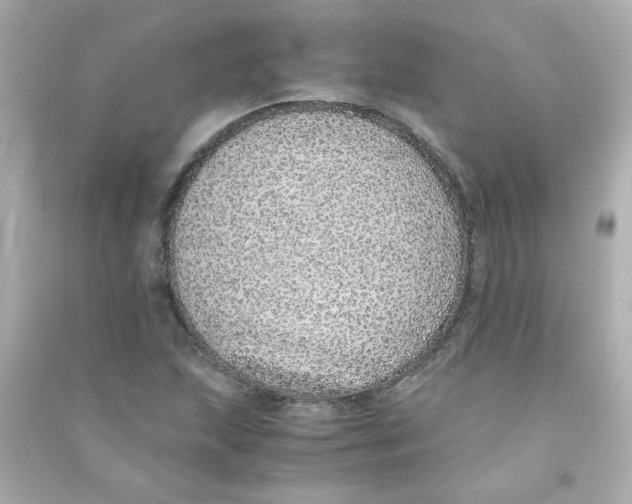 X0000090451215200708102041