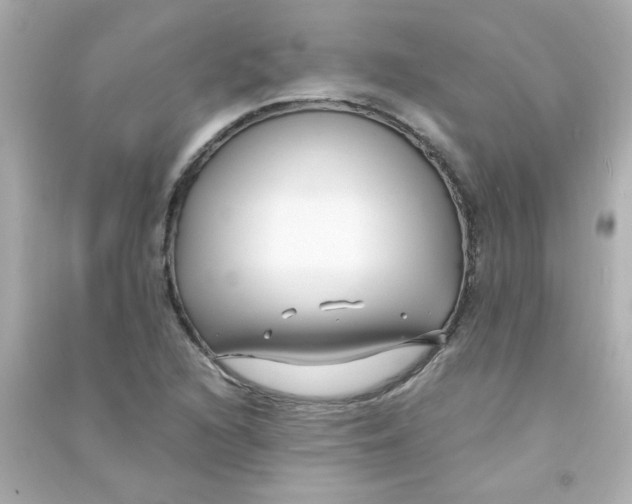 X0000090451216200708102041