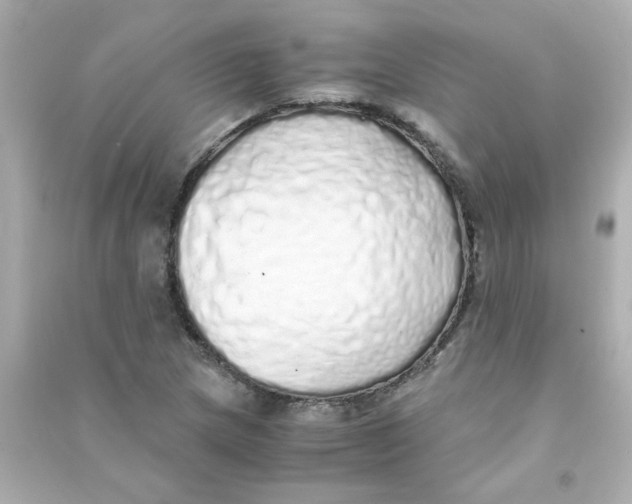 X0000090451217200708102041