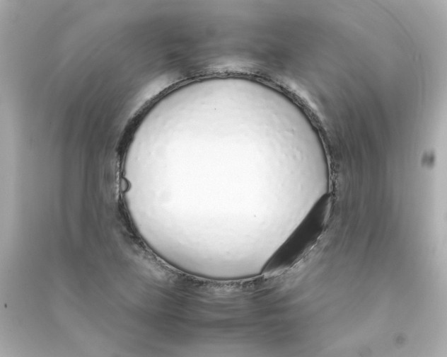 X0000090451219200708102042