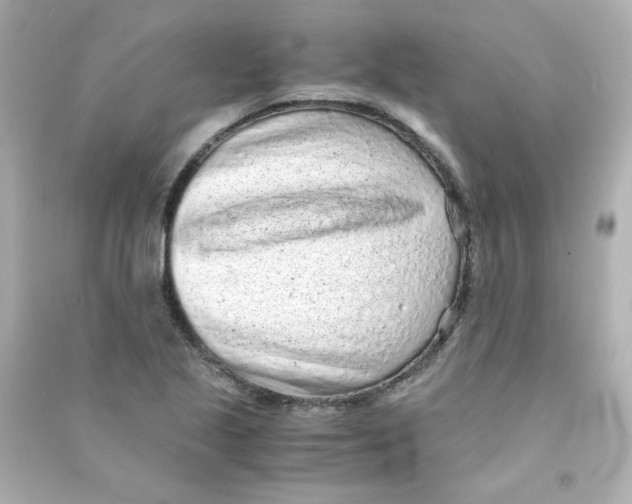 X0000090451221200708102042