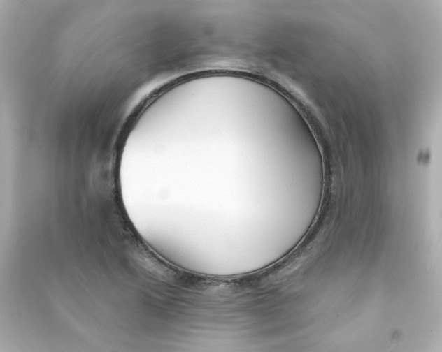 X0000090451222200708102042