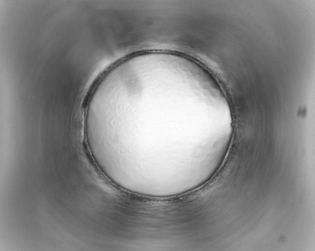 X0000090451223200708102042