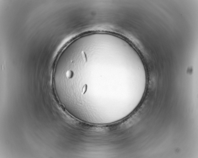 X0000090451224200708102042