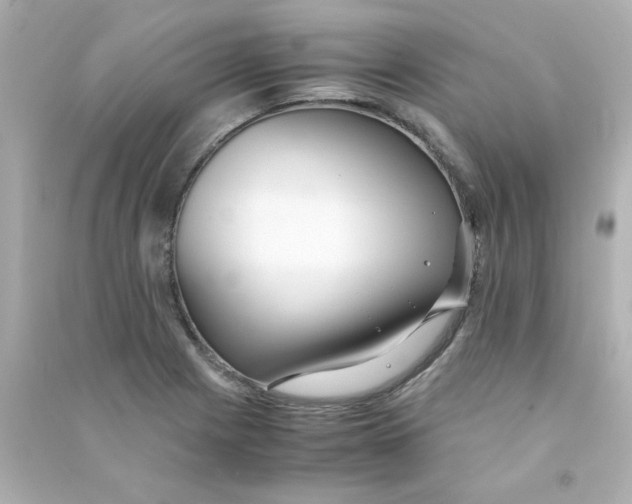 X0000090451225200708102042