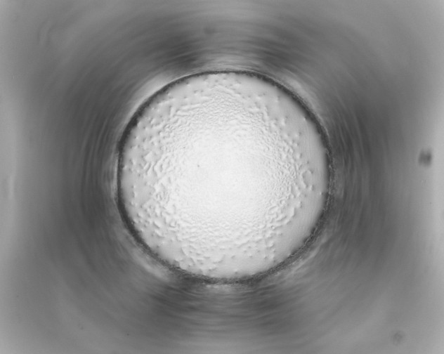 X0000090451227200708102042