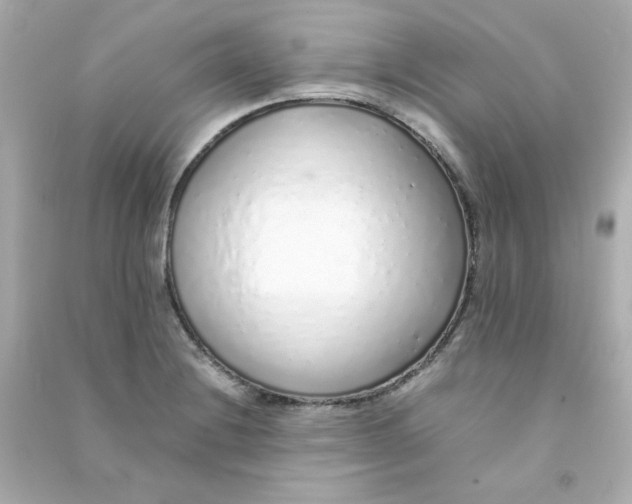 X0000090451228200708102042