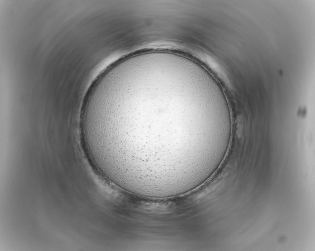 X0000090451229200708102042