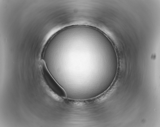 X0000090451230200708102042