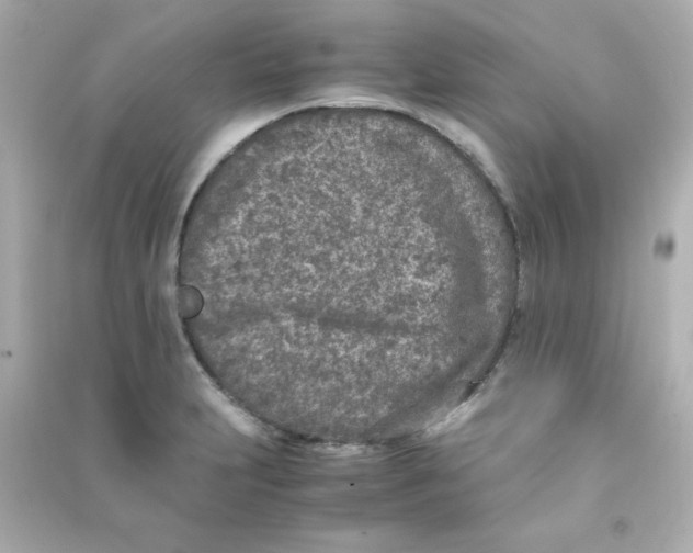 X0000090451231200708102042