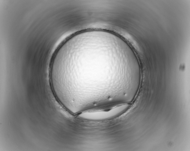 X0000090451232200708102042