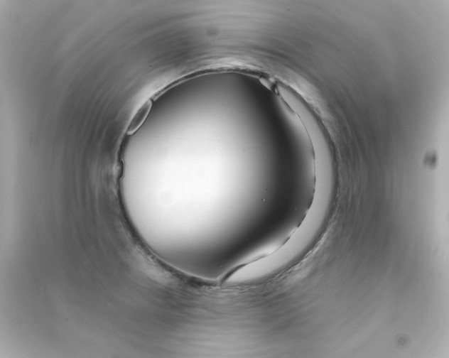 X0000090451234200708102042