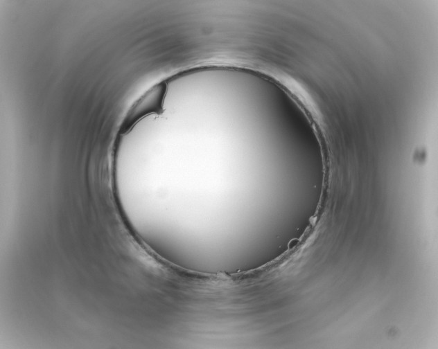 X0000090451238200708102042